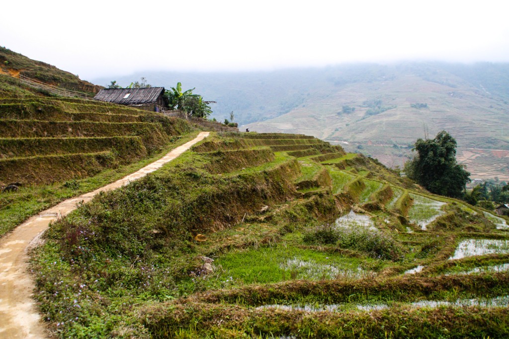 Sapa - Muong Hoa Valley - Image by James Pham-25