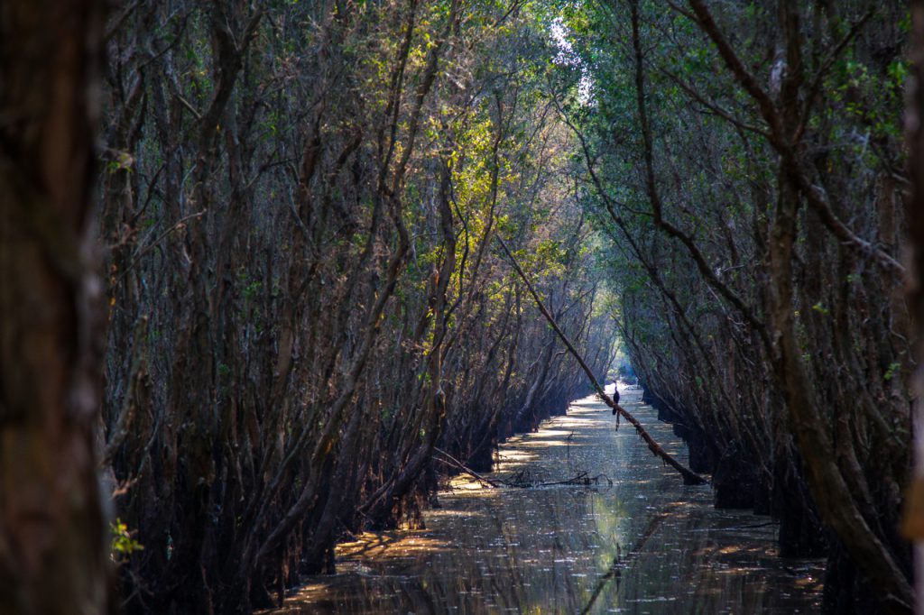 Vì sao nên đi du lịch An Giang