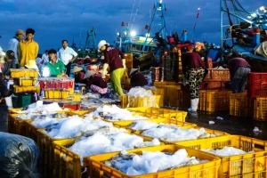 The Phan Thiet Fish Market – A Photo Essay File name: Victoria-Phan-Thiet-Phan-Thiet-Fish-Market-James-Pham-24.webp